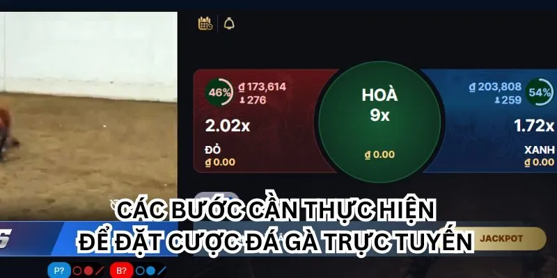 Các bước cần thực hiện để đặt cược đá gà trực tuyến